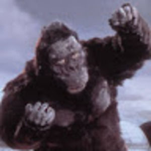 Meet your Posher, Kevooo